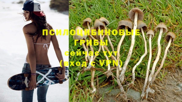 ALPHA-PVP Богданович